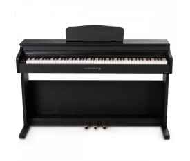  Arsenberg ADP1982V1B Siyah Dijital Piyano